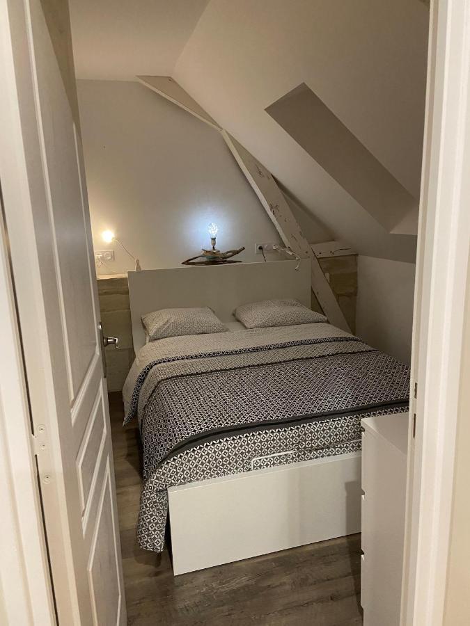 Appartement Du Chateau De La Caillerie Avoine Eksteriør bilde
